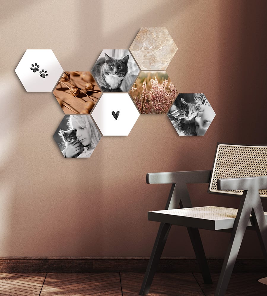 Custtom Shapes with images of cats