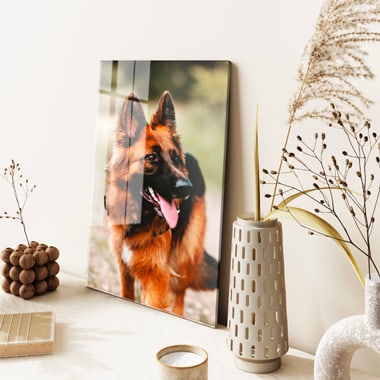 Pet portrait on your wall