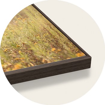 Photo on aluminium print with dark brown wood Chocolate oak floating frame